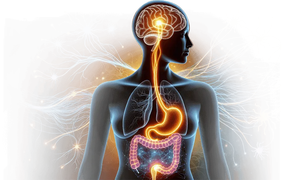 LipoEase Weight Loss Supplement